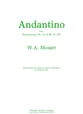 ANDANTINO FLUTE SOLO cover